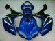 Plásticos R1 2007-2008 - Azul